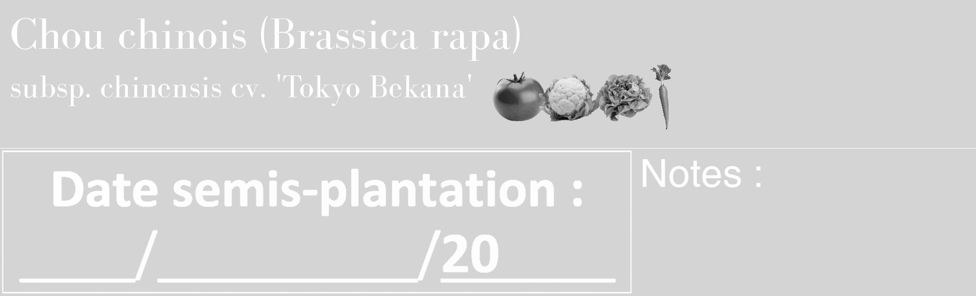 Étiquette de : Brassica rapa subsp. chinensis cv. 'Tokyo Bekana' - format c - style blanche40_basique_basiquebod avec comestibilité simplifiée