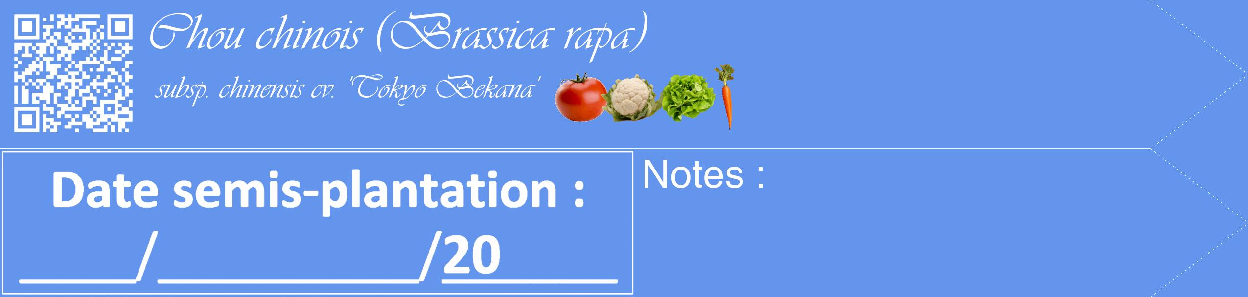 Étiquette de : Brassica rapa subsp. chinensis cv. 'Tokyo Bekana' - format c - style blanche4simple_simple_simpleviv avec qrcode et comestibilité simplifiée