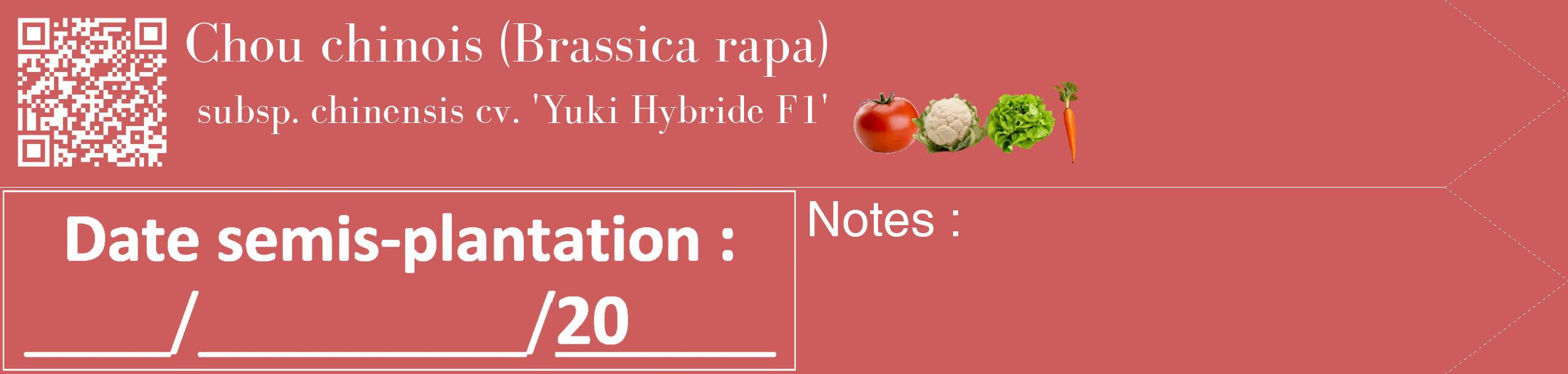Étiquette de : Brassica rapa subsp. chinensis cv. 'Yuki Hybride F1' - format c - style blanche35_simple_simplebod avec qrcode et comestibilité simplifiée