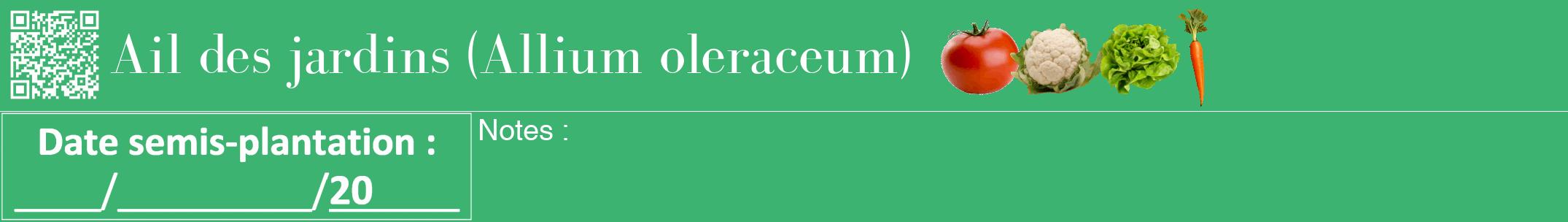 Étiquette de : Allium oleraceum - format a - style blanche12bod avec qrcode et comestibilité simplifiée