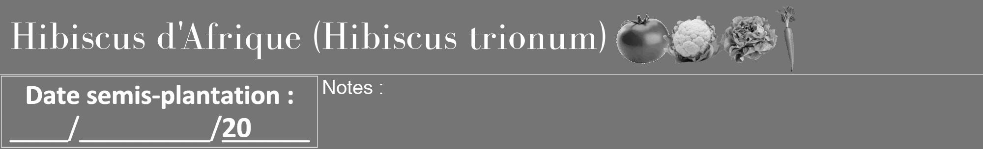Étiquette de : Hibiscus trionum - format a - style blanche5bod avec comestibilité simplifiée