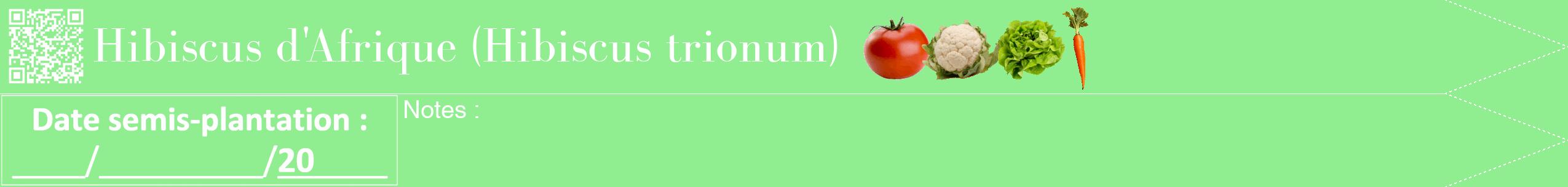 Étiquette de : Hibiscus trionum - format b - style blanche15bod avec qrcode et comestibilité simplifiée