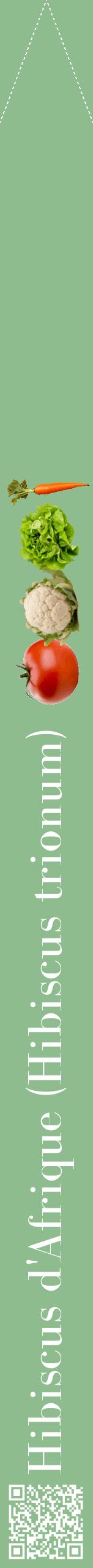 Étiquette de : Hibiscus trionum - format b - style blanche13bod avec qrcode et comestibilité simplifiée