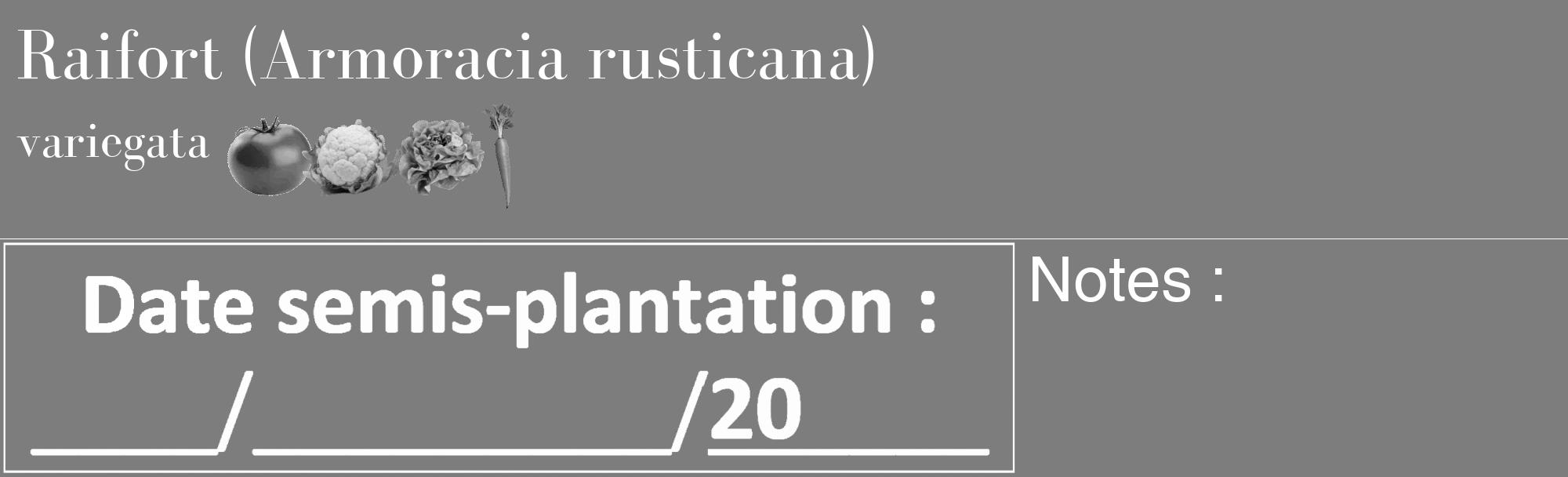 Étiquette de : Armoracia rusticana variegata - format c - style blanche35_basique_basiquebod avec comestibilité simplifiée