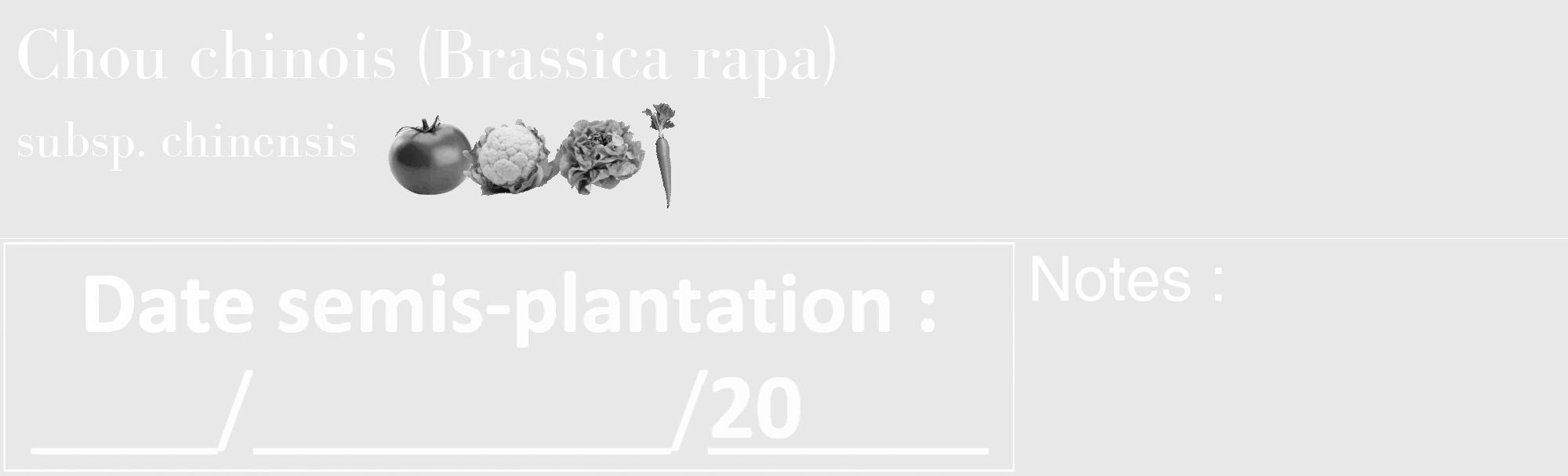 Étiquette de : Brassica rapa subsp. chinensis - format c - style blanche55_basique_basiquebod avec comestibilité simplifiée