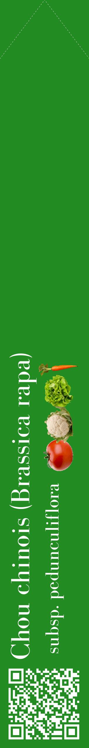 Étiquette de : Brassica rapa subsp. pedunculiflora - format c - style blanche10_simplebod avec qrcode et comestibilité simplifiée