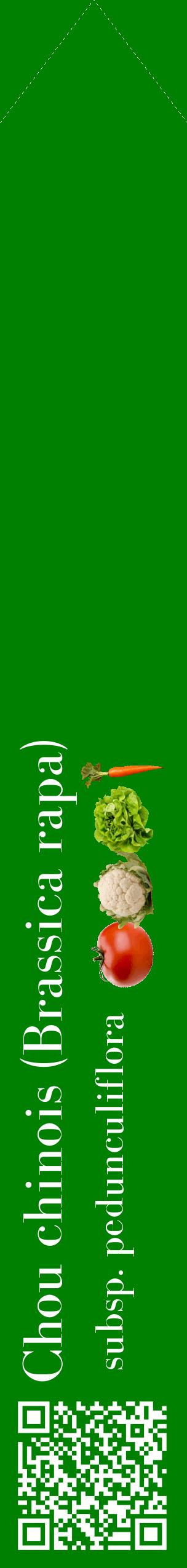 Étiquette de : Brassica rapa subsp. pedunculiflora - format c - style blanche9_simplebod avec qrcode et comestibilité simplifiée