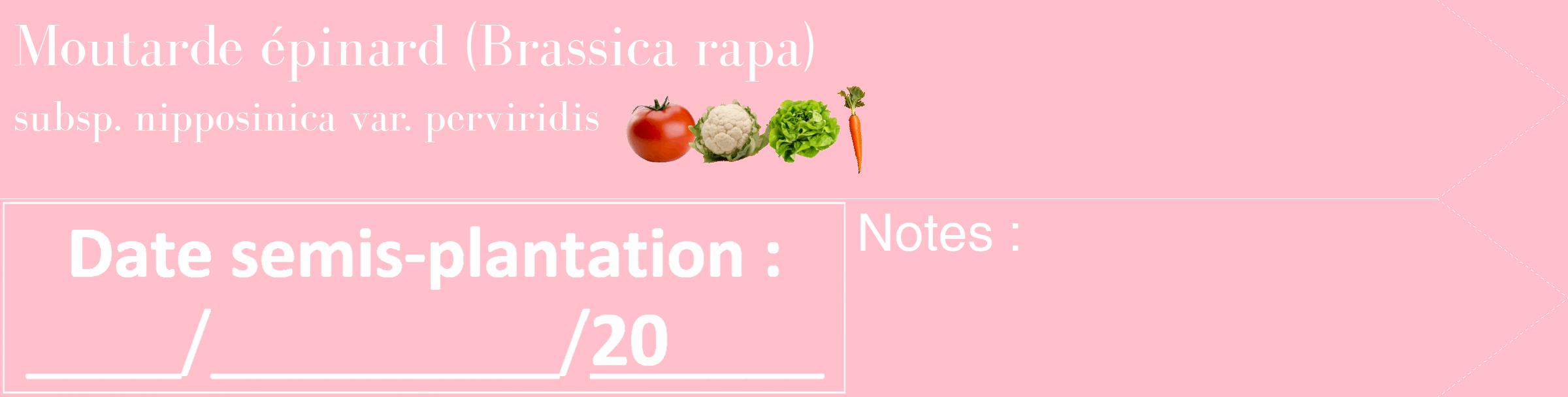 Étiquette de : Brassica rapa subsp. nipposinica var. perviridis - format c - style blanche40_simple_simplebod avec comestibilité simplifiée