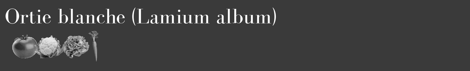 Étiquette de : Lamium album - format c - style blanche8_basique_basiquebod avec comestibilité simplifiée