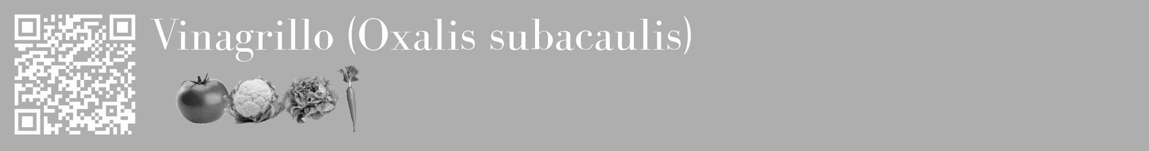 Étiquette de : Oxalis subacaulis - format c - style blanche53_basique_basiquebod avec qrcode et comestibilité simplifiée