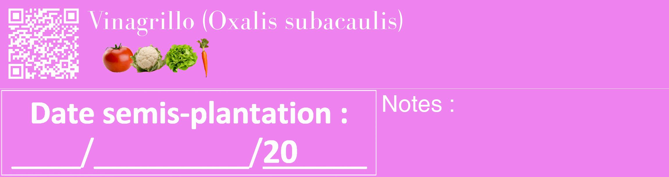Étiquette de : Oxalis subacaulis - format c - style blanche53_basique_basiquebod avec qrcode et comestibilité simplifiée