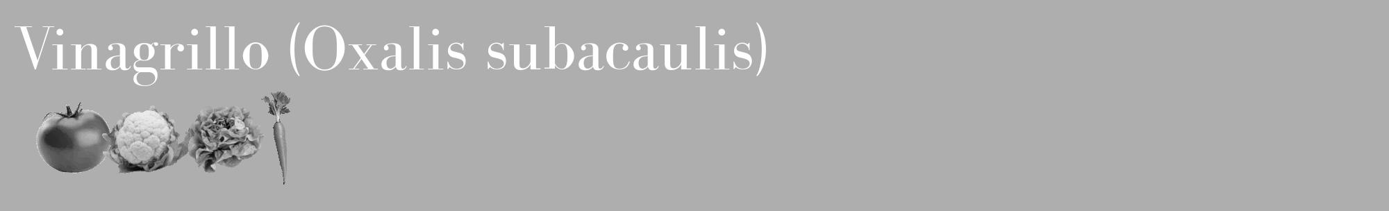 Étiquette de : Oxalis subacaulis - format c - style blanche53_basique_basiquebod avec comestibilité simplifiée