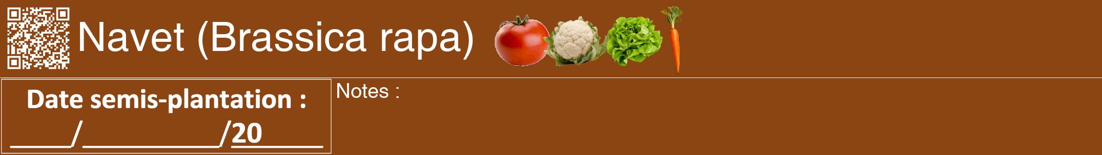 Étiquette de : Brassica rapa - format a - style blanche30hel avec qrcode et comestibilité simplifiée
