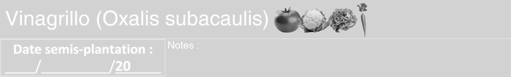 Étiquette de : Oxalis subacaulis - format a - style blanche56hel avec comestibilité simplifiée