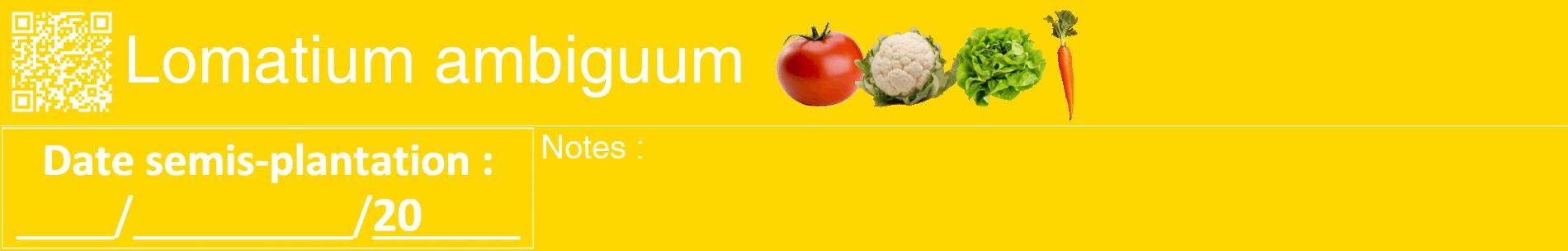 Étiquette de : Lomatium ambiguum - format a - style blanche21basiquehel avec qrcode et comestibilité simplifiée