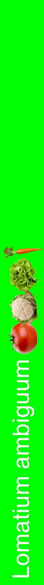 Étiquette de : Lomatium ambiguum - format a - style blanche16hel avec comestibilité simplifiée