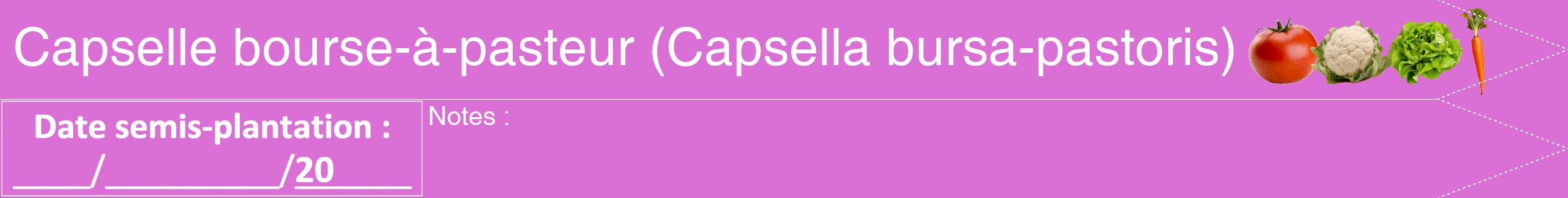 Étiquette de : Capsella bursa-pastoris - format b - style blanche52hel avec comestibilité simplifiée