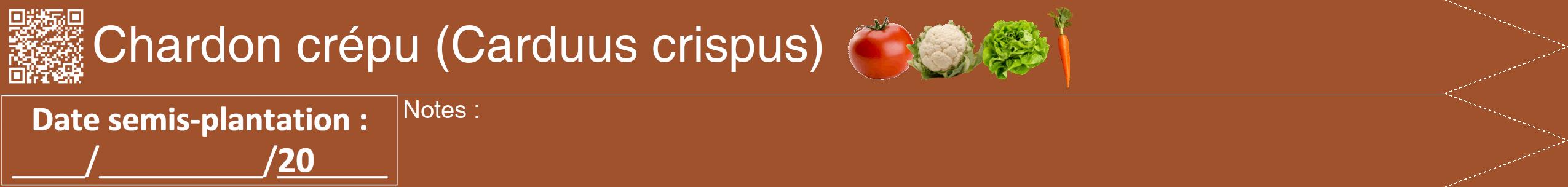 Étiquette de : Carduus crispus - format b - style blanche32simplehel avec qrcode et comestibilité simplifiée
