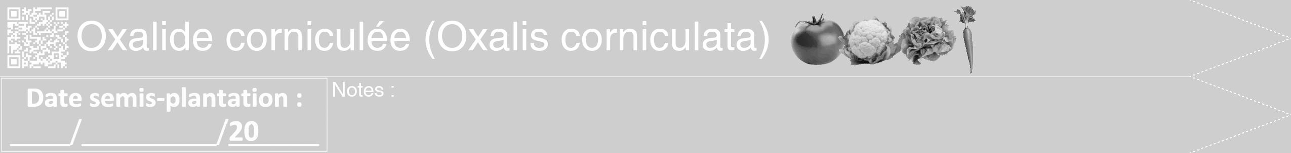Étiquette de : Oxalis corniculata - format b - style blanche17hel avec qrcode et comestibilité simplifiée