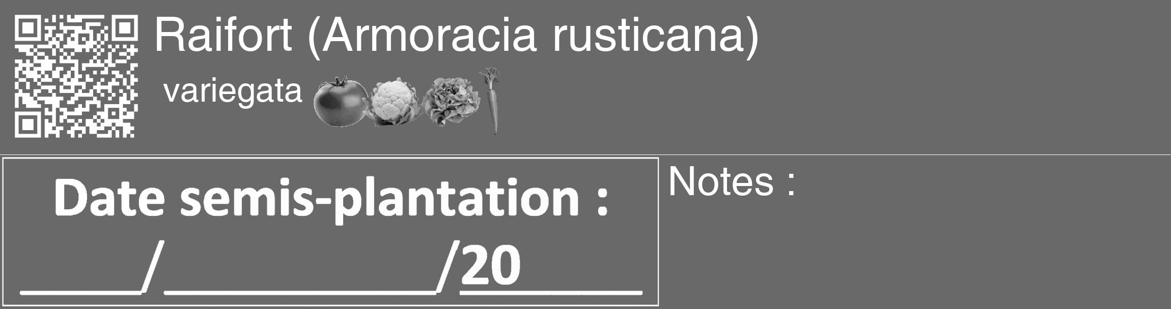 Étiquette de : Armoracia rusticana variegata - format c - style blanche51_basique_basiquehel avec qrcode et comestibilité simplifiée