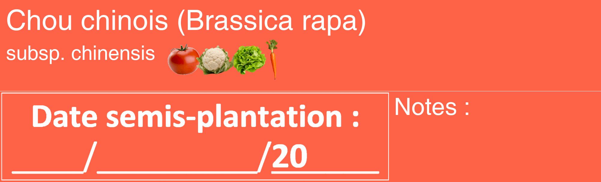Étiquette de : Brassica rapa subsp. chinensis - format c - style blanche25_basique_basiquehel avec comestibilité simplifiée
