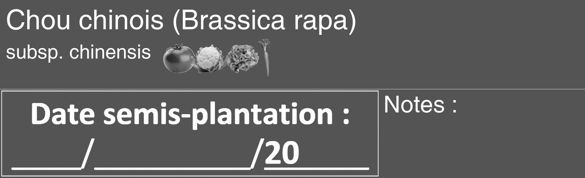 Étiquette de : Brassica rapa subsp. chinensis - format c - style blanche36_basique_basiquehel avec comestibilité simplifiée