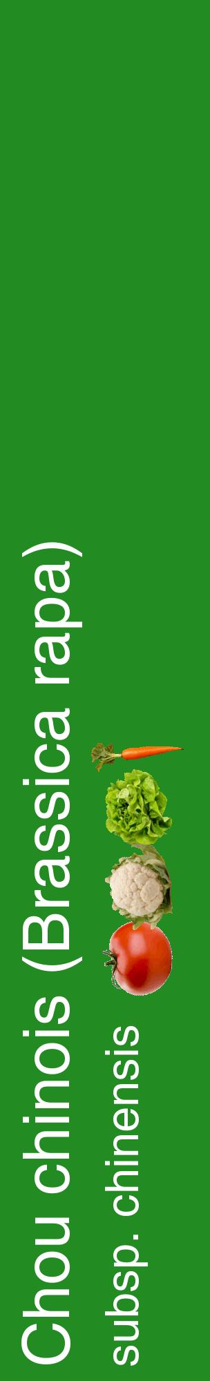 Étiquette de : Brassica rapa subsp. chinensis - format c - style blanche10_basiquehel avec comestibilité simplifiée