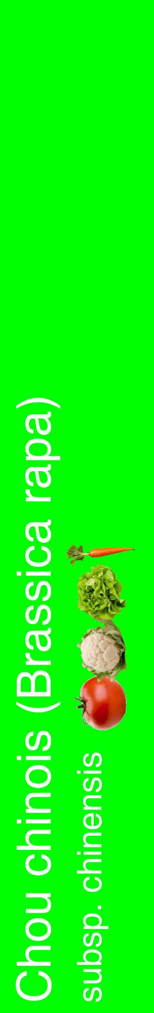 Étiquette de : Brassica rapa subsp. chinensis - format c - style blanche16_basiquehel avec comestibilité simplifiée