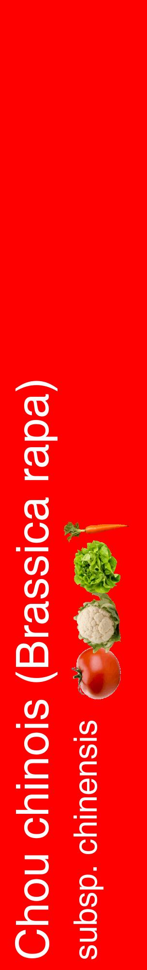 Étiquette de : Brassica rapa subsp. chinensis - format c - style blanche27_basiquehel avec comestibilité simplifiée