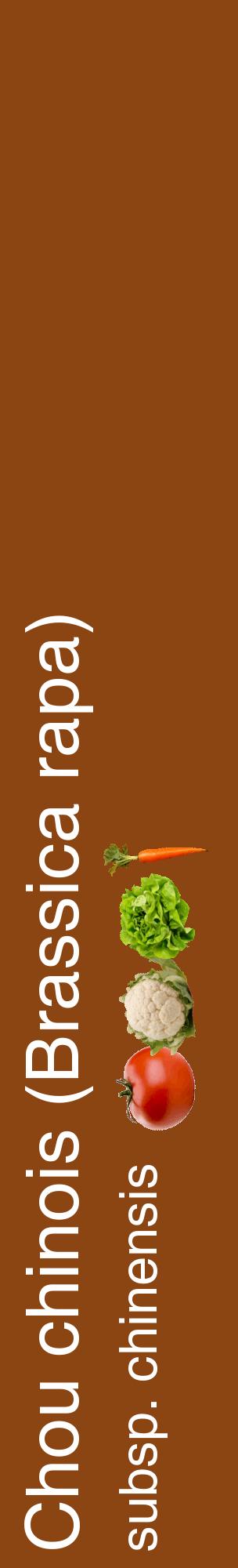 Étiquette de : Brassica rapa subsp. chinensis - format c - style blanche30_basiquehel avec comestibilité simplifiée