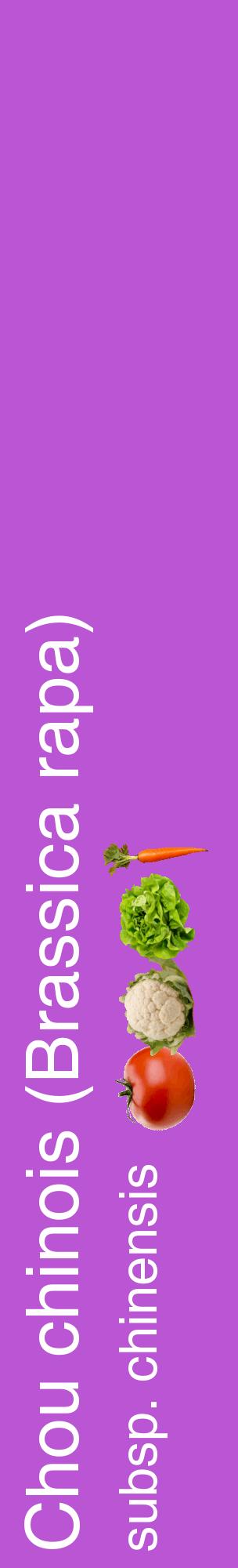 Étiquette de : Brassica rapa subsp. chinensis - format c - style blanche50_basiquehel avec comestibilité simplifiée