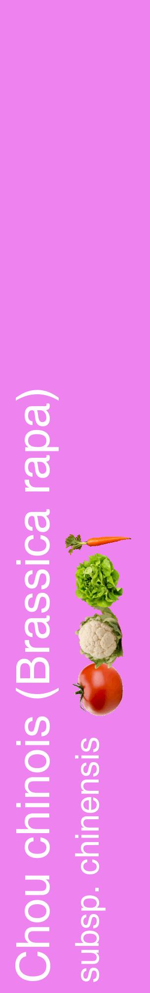 Étiquette de : Brassica rapa subsp. chinensis - format c - style blanche53_basiquehel avec comestibilité simplifiée