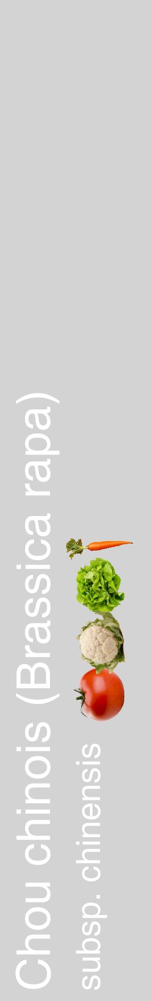 Étiquette de : Brassica rapa subsp. chinensis - format c - style blanche56_basiquehel avec comestibilité simplifiée