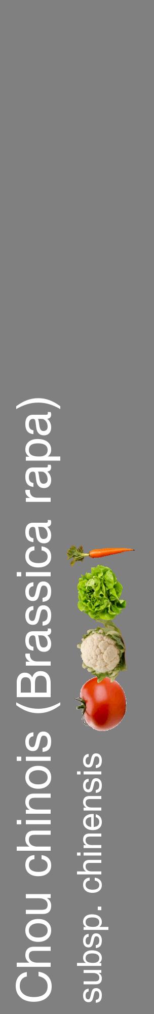 Étiquette de : Brassica rapa subsp. chinensis - format c - style blanche57_basiquehel avec comestibilité simplifiée