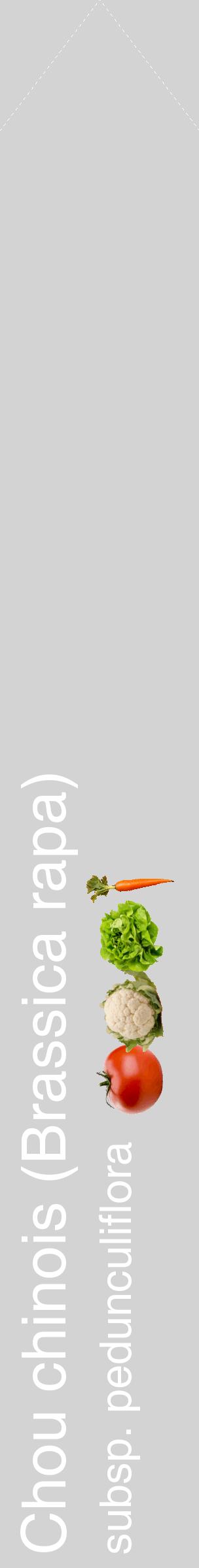 Étiquette de : Brassica rapa subsp. pedunculiflora - format c - style blanche56_simplehel avec comestibilité simplifiée