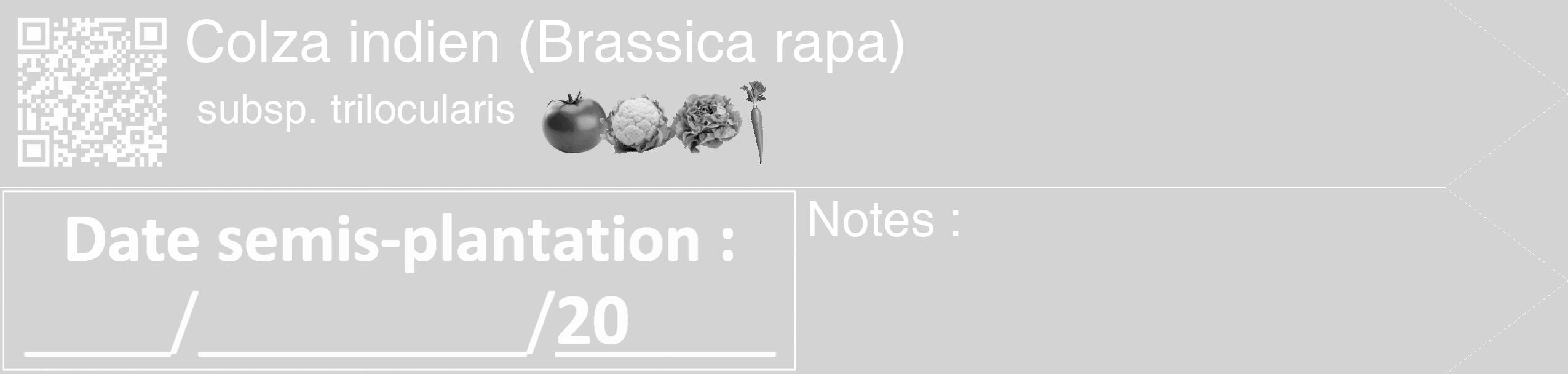 Étiquette de : Brassica rapa subsp. trilocularis - format c - style blanche56_simple_simplehel avec qrcode et comestibilité simplifiée