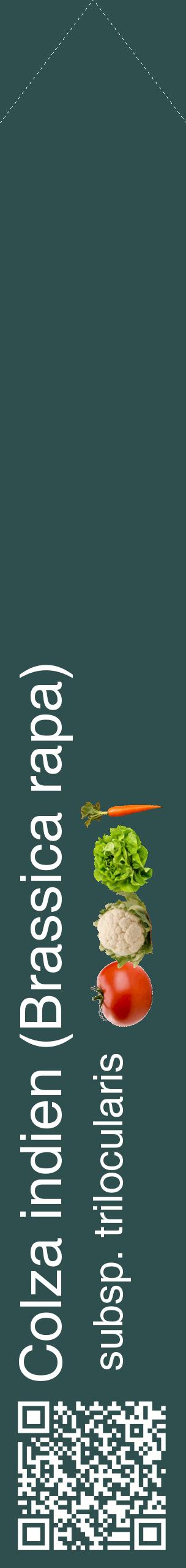Étiquette de : Brassica rapa subsp. trilocularis - format c - style blanche58_simplehel avec qrcode et comestibilité simplifiée