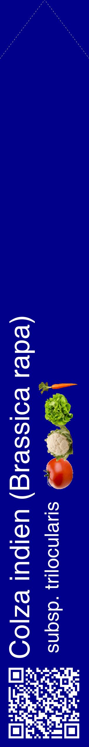 Étiquette de : Brassica rapa subsp. trilocularis - format c - style blanche7_simplehel avec qrcode et comestibilité simplifiée