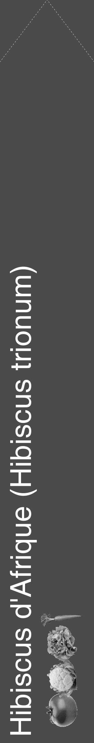 Étiquette de : Hibiscus trionum - format c - style blanche9_simple_simplehel avec comestibilité simplifiée - position verticale