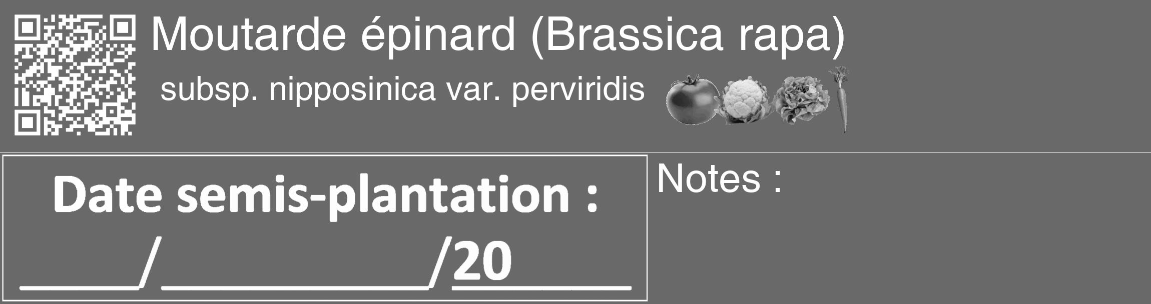 Étiquette de : Brassica rapa subsp. nipposinica var. perviridis - format c - style blanche51_basique_basiquehel avec qrcode et comestibilité simplifiée