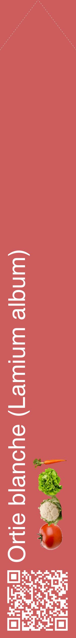 Étiquette de : Lamium album - format c - style blanche35_simplehel avec qrcode et comestibilité simplifiée