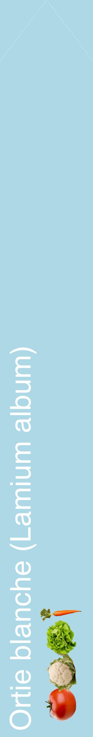 Étiquette de : Lamium album - format c - style blanche0_simplehel avec comestibilité simplifiée