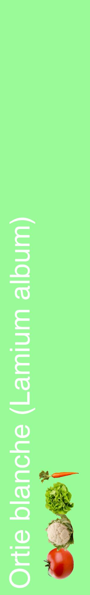 Étiquette de : Lamium album - format c - style blanche14_basiquehel avec comestibilité simplifiée
