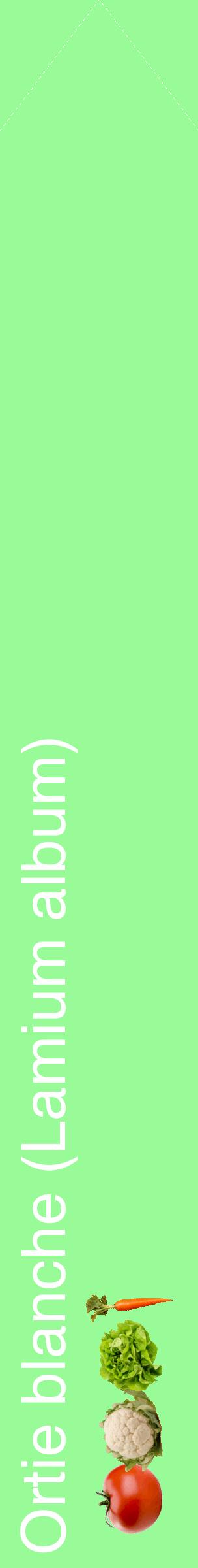 Étiquette de : Lamium album - format c - style blanche14_simplehel avec comestibilité simplifiée