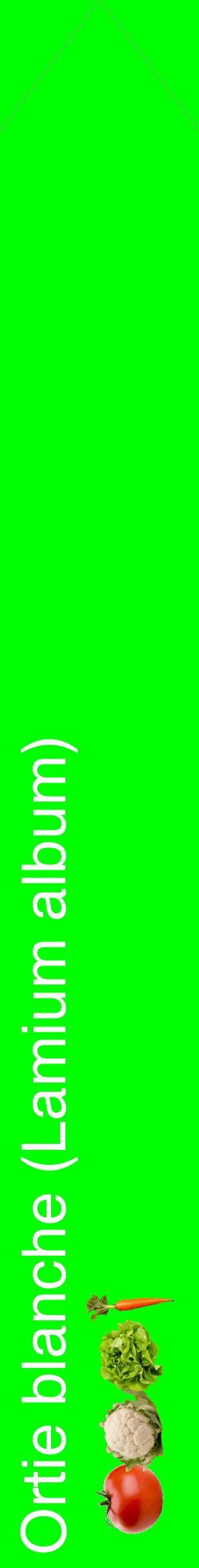 Étiquette de : Lamium album - format c - style blanche16_simplehel avec comestibilité simplifiée