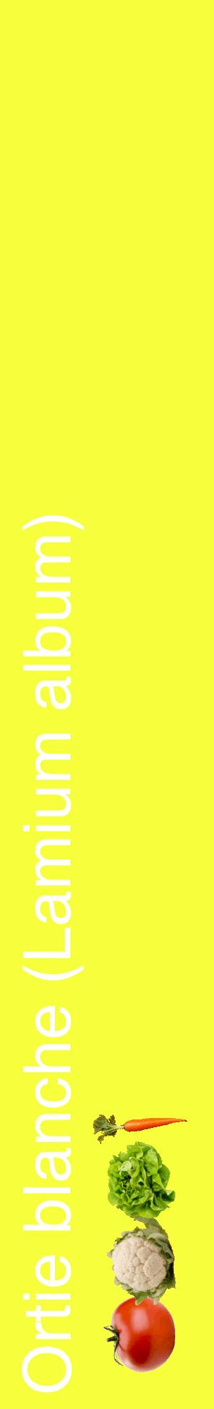 Étiquette de : Lamium album - format c - style blanche18_basiquehel avec comestibilité simplifiée