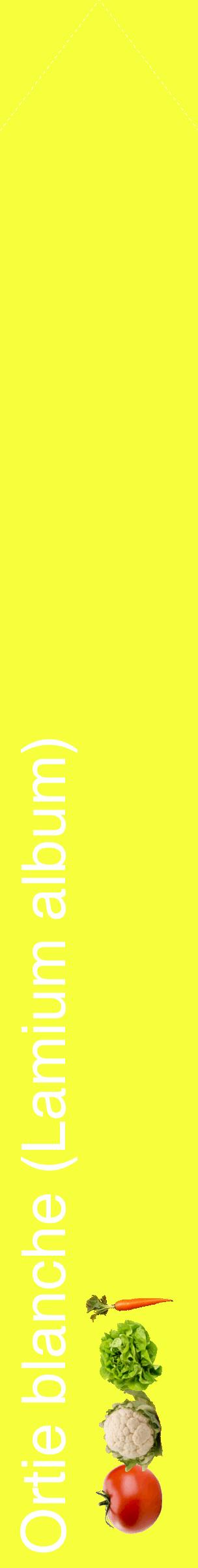 Étiquette de : Lamium album - format c - style blanche18_simplehel avec comestibilité simplifiée