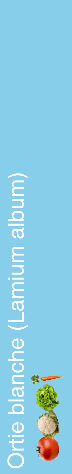 Étiquette de : Lamium album - format c - style blanche1_basiquehel avec comestibilité simplifiée
