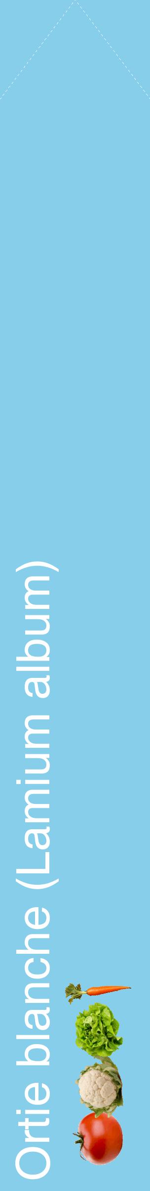 Étiquette de : Lamium album - format c - style blanche1_simplehel avec comestibilité simplifiée