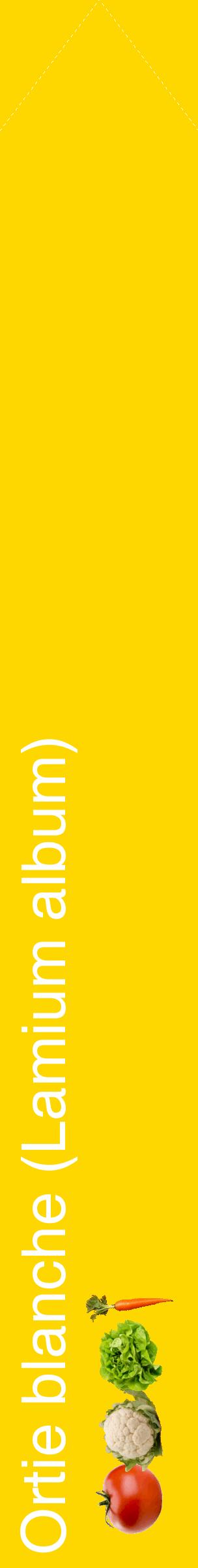 Étiquette de : Lamium album - format c - style blanche21_simplehel avec comestibilité simplifiée